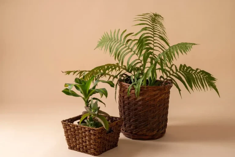 Artificial Plants for Home Decor